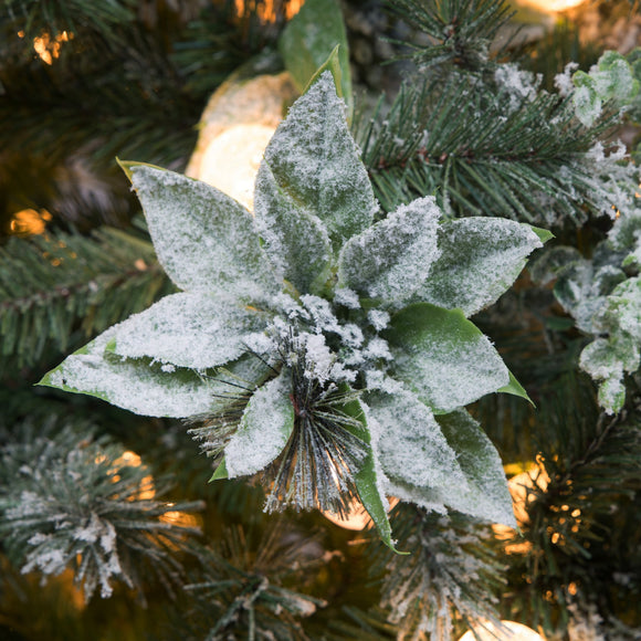 Christabelle Snowy Crown Pine 2.3m Multicolour Pre-Lit Christmas Tree with 1453 Tips