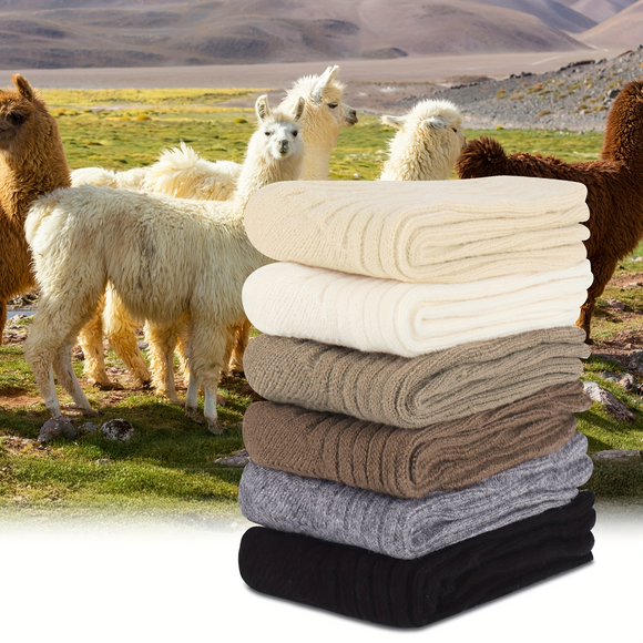 2 Pairs WOOL BLEND SOCKS Ladies Womens Thick Soft Work Thermal Warm Winter - 2-8