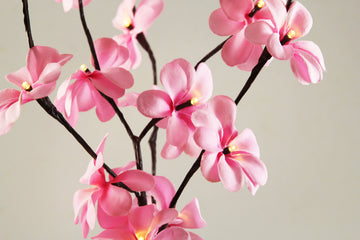 1 Set of 50cm H 20 LED Pink Frangipani Tree Branch Stem Fairy Light Wedding Event Party Function Table Vase Centrepiece Decoration Girl Bedroom - 0