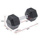 10KG Commercial Rubber Hex Dumbbell Gym Weight - RnR Galore