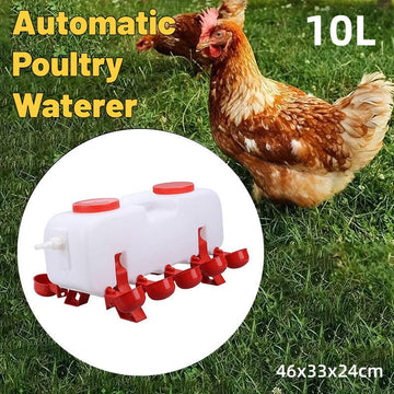 10L Chicken Poultry Automatic Drinking Tank Drinker Feeding Pot Water Dispenser - RnR Galore