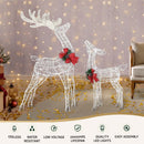 2 PCS Christmas Lights 170 LED Fairy Light Reindeer Decorations Jingle Jollys - RnR Galore