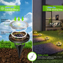 4 - Pack Solar LED In - Ground Warm Yellow Light Set (Single 7.1x7.1x6.1cm) - Stainless Steel Waterproof Outdoor Garden Pathway and Landscape Spike Lamp - RnR Galore