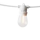 50M LED Festoon Light Outdoor String Light Christmas Wedding Party Decorations - RnR Galore