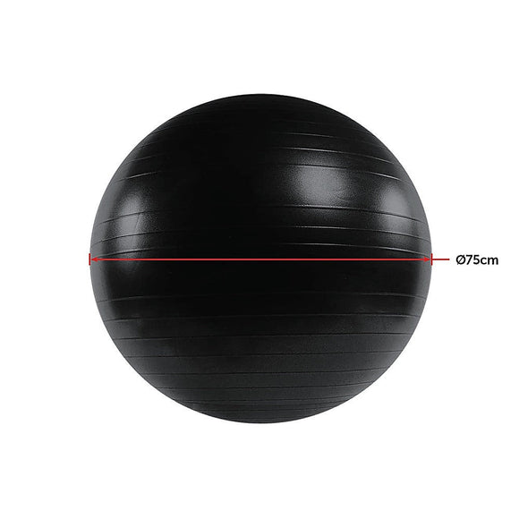 75cm Static Strength Exercise Stability Ball with Pump - RnR Galore