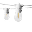 95M LED Festoon Light Outdoor String Light Christmas Wedding Party Decorations - RnR Galore