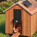 Giantz Automatic Chicken Coop Door 37cm Solar Powered Smart App Control Black-1