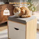 Artiss Storage Ottoman with Drawer 100kg Capacity Footrest Cushion Pine-4