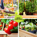 Green Fingers Garden Bed Elevated 120x60x80cm Wooden Planter Box Raised Container-4