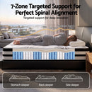 Giselle Queen 34cm 5-Zone Euro Top Pocket Spring Mattress with 2 Natural Latex Contour Pillows-3