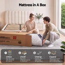 Giselle Bedding 34cm Mattress 9 Zone Latex Foam Single-9