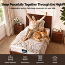 Giselle 25cm King Single Hybrid Mattress Soft Knitted Fabric Edge Support Gel Foam-6