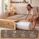 Giselle 30cm King Spring Mattress Tencel Cover 5-Zone Firm Back Support-8