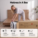 Giselle Bedding 31cm Mattress Euro Top King-9