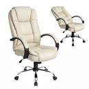 Artiss Executive Office Chair Leather Tilt Beige-1