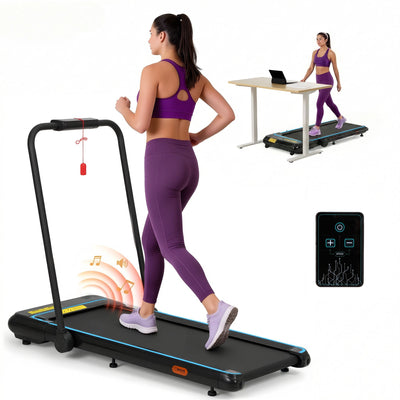 Fitness Accessories