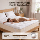 Giselle Double Pillow Top Mattress Topper 1300GSM White Duck Feather For Old Bed Upgrade 5cm Thick-3