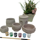 Mixed, hand-made succulent planters x 5-1