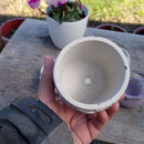 Mixed, hand-made succulent planters x 5-4