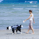 pet products Pet Strong Spring Telescopic Traction Device-7