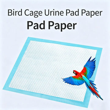 Pee Pad (Pulp/Non-woven Fabric) Size: 250*330mm Color: Blue for Parrots (100 pieces) - 0