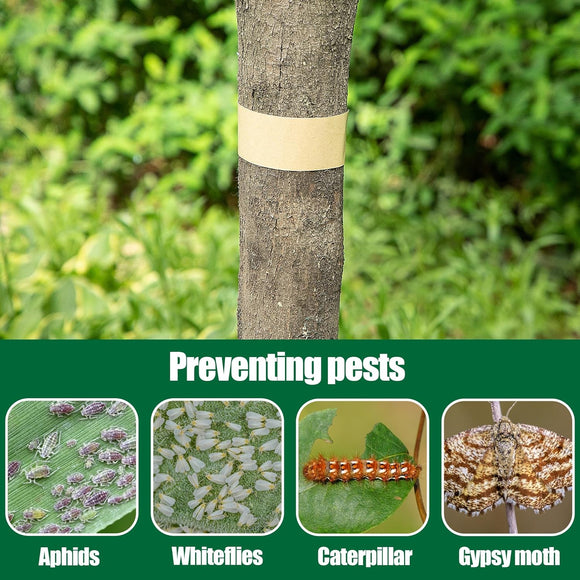 165 Ft x 2 Inch Tree Insect Barrier Tape, Cicada Tree Wrap Protection Tape, Adhesive Crawling Insect Tree Tape for Protecting Fruit Trees Plants Outdoor Lawn Garden