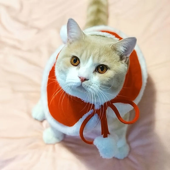 AMOOR Pet Christmas Cape Small Dog Holiday Wear Christmas Scarf [Velcro] S [Suitable for up to 4 jin, check chest and back length]