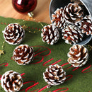 Natural Pine Cones with Snow-Dusted Tips for Christmas Tree Ornaments, Holiday Table Centerpieces, DIY Wreath Crafts, Garland Making and Festive Photo Props (3-4cm(7PCS))-2