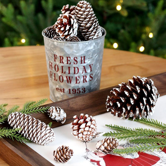 Natural Pine Cones with Snow-Dusted Tips for Christmas Tree Ornaments, Holiday Table Centerpieces, DIY Wreath Crafts, Garland Making and Festive Photo Props (3-4cm(7PCS))