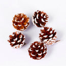Natural Pine Cones with Snow-Dusted Tips for Christmas Tree Ornaments, Holiday Table Centerpieces, DIY Wreath Crafts, Garland Making and Festive Photo Props (3-4cm(7PCS))-7