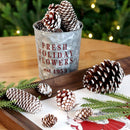 Natural Pine Cones with Snow-Dusted Tips for Christmas Tree Ornaments, Holiday Table Centerpieces, DIY Wreath Crafts, Garland Making and Festive Photo Props (4-5cm(5PCS))-3
