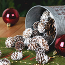 Natural Pine Cones with Snow-Dusted Tips for Christmas Tree Ornaments, Holiday Table Centerpieces, DIY Wreath Crafts, Garland Making and Festive Photo Props (4-5cm(5PCS))-5