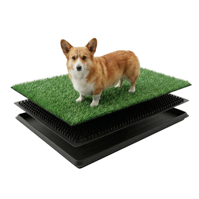 Paw-some Essentials: A Collection of Dog Supplies