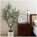 Artificial Olive Tree In French Crock Pot 2M-2