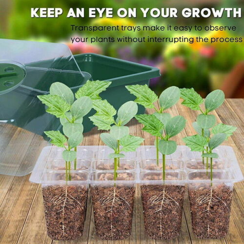 10 Set 12 Hole Plant Seed Grow Box Propagation Nursery Seedling Starter Tray - 0