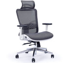 FORTIA Ergonomic Office Desk Chair, Coolmesh Fabric, Headrest, Adjustable Lumbar Support, Armrests and Recline, Dark Grey Mesh/White Frame-1