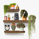 Ekkio Floating Shelf Set of 3 Black - Brown-1