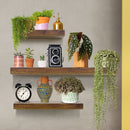 Ekkio Floating Shelf Set of 3 Black - Brown-3