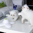 Flutter Bug Butterfly Cat Toy - Interactive Teaser Pet Kitty Play - All for Paws-3