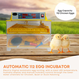 Rooster Farms Electric 112 Egg Incubator + Accessories for Chicken Quail Duck - 0