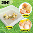 Rooster Farms Electric 112 Egg Incubator + Accessories for Chicken Quail Duck-9