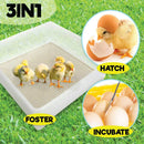 Rooster Farms Electric 112 Egg Incubator + Accessories for Chicken Quail Duck-10
