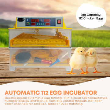 Rooster Farms Electric 112 Egg Incubator + Accessories for Chicken Quail Duck - 0