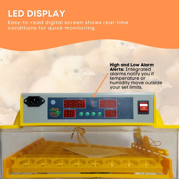 Rooster Farms Electric 112 Egg Incubator + Accessories for Chicken Quail Duck