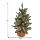 Christabelle 61cm Pre-Lit Snowy Stamford Spruce Battery-Operated Mini Christmas Tree Multi-Functional LED Timer-2