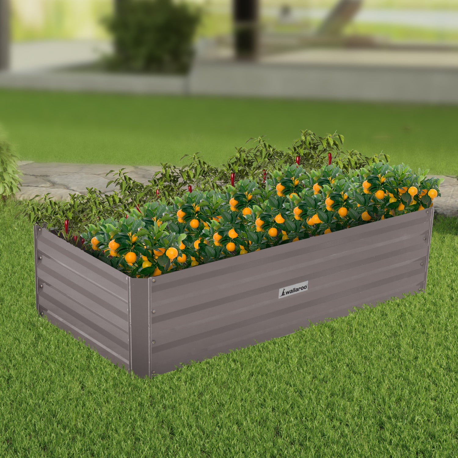 Wallaroo Garden Bed 120 x 60 x 30cm Galvanized Steel - Grey