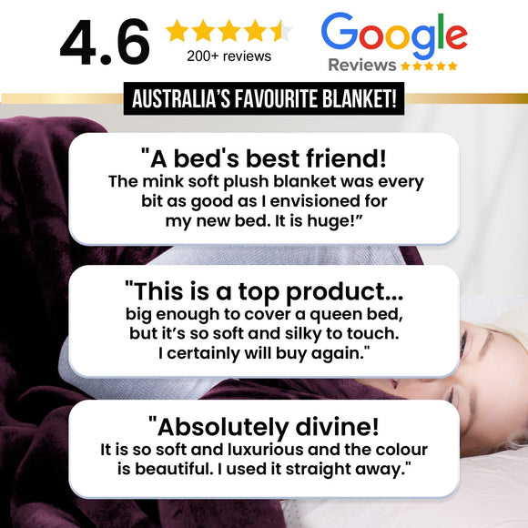 Laura Hill 800-GSM Mink Blanket Queen Size Double-Sided Soft Plush Bed Faux Throw Rug 220 X 240cm Heavy Sage