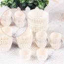 Patty Pans Muffin Cases Choc 600/Pk Cake Boards Cupcake Liners Boxes Baking Cups - 600PCS-4.5CM-7