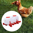 10L Chicken Poultry Automatic Drinking Tank Drinker Feeding Pot Water Dispenser-4