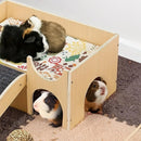 Natural-Finish Small Pet House with Ramp - 1 Piece-8